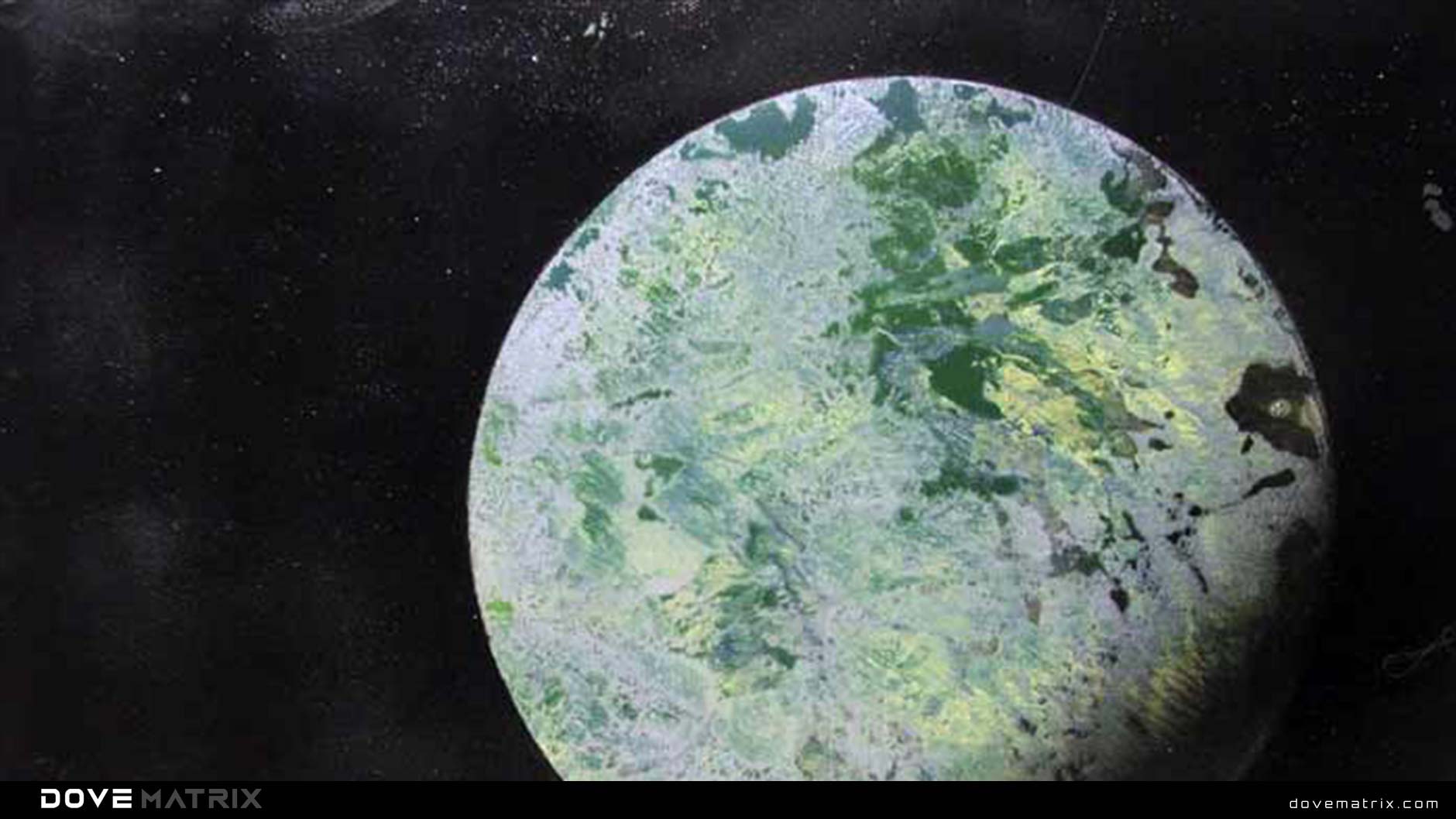 VENUS